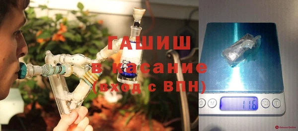прущие грибы Куйбышев